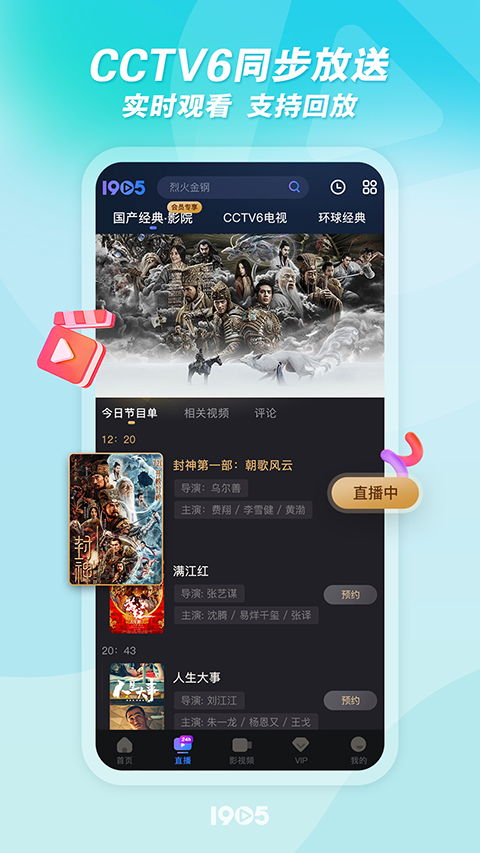 栖息在梧桐枝头的蓝冠知更鸟凝视远方的特写壁纸